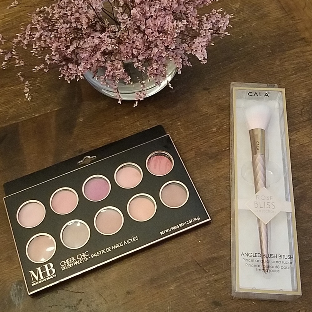Blush palette and angled blush brush